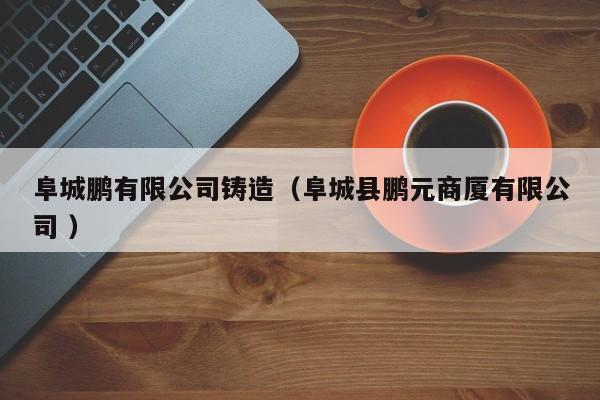 阜城鵬有限公司鑄造（阜城縣鵬元商廈有限公司 ）