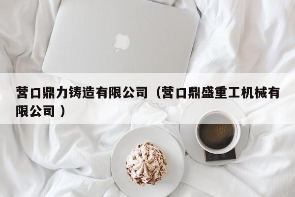 營口鼎力鑄造有限公司（營口鼎盛重工機械有限公司 ）